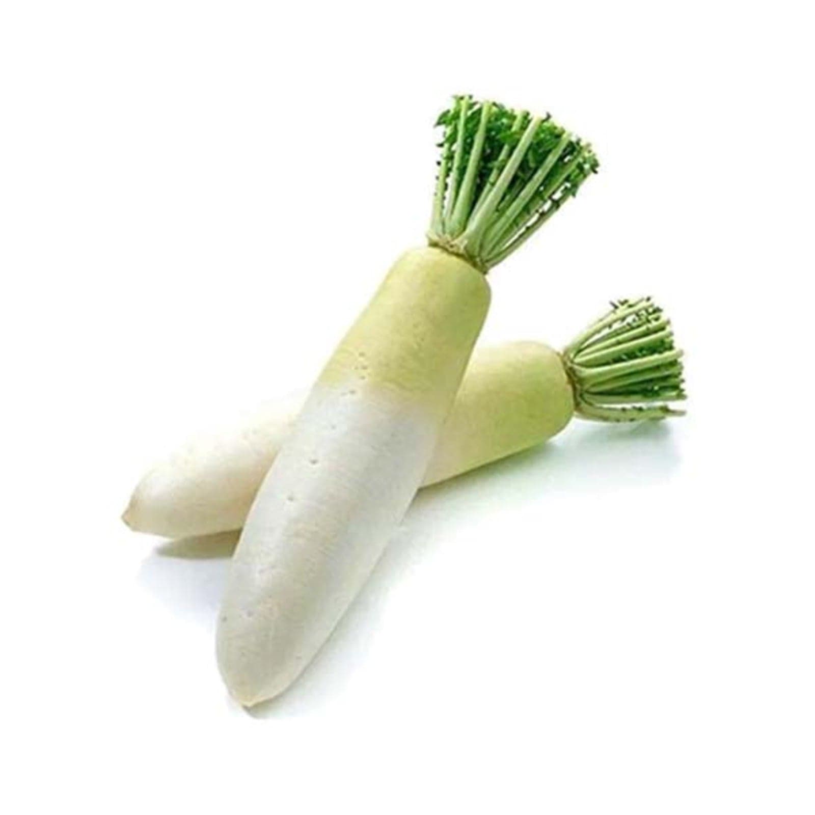 Radish 100g - 90169301_XL1_20230414