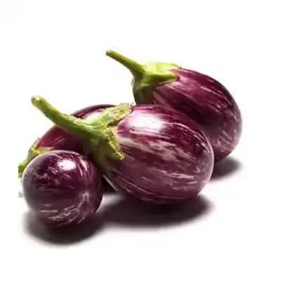 Brinjal 1Kg - vegetables_brinjal